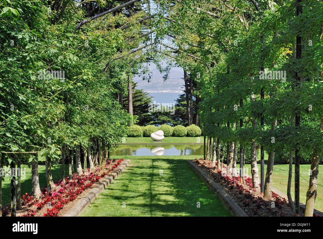new zealand fruit trees high resolution stock photography and images alamy new zealand fruit trees high resolution stock photography and images alamy