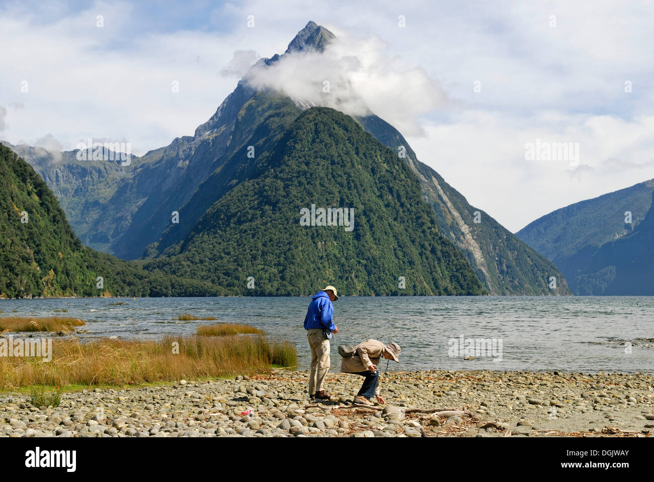 Senior citizens collecting stones and flotsam, Mitre Peak, Milford Sound, South Island, New Zealand Stock Photo