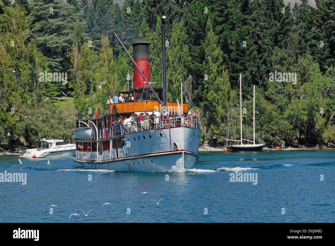Historic steamship TSS Earnslaw, 1912, arriving in the port of Queenstown, South Island, New Zealand Stock Photo