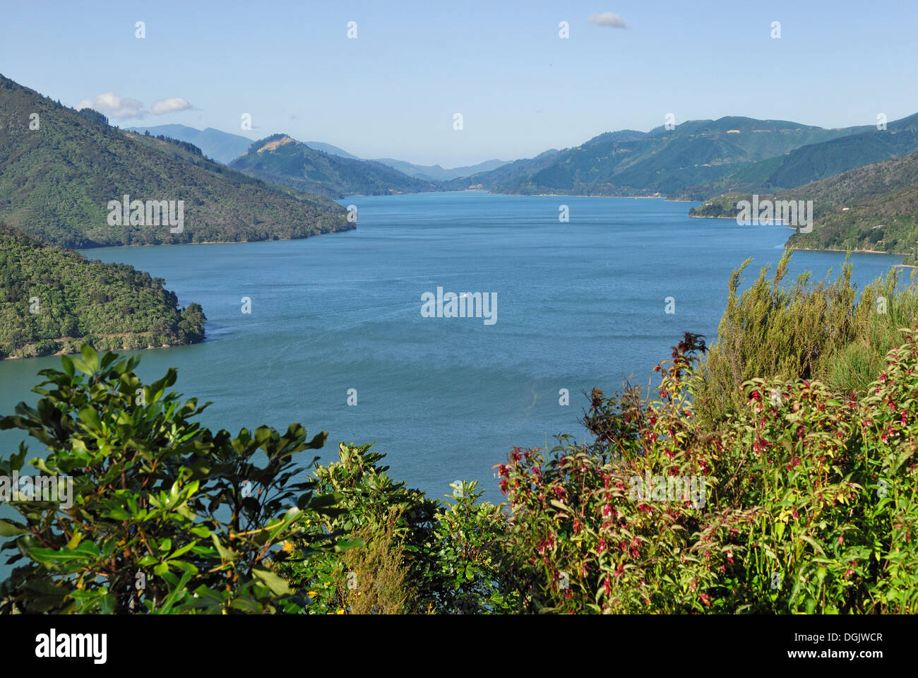 View from Cullen Point Lookout on the Pelorus Sound, Havelock, South Island, New Zealand Stock Photo