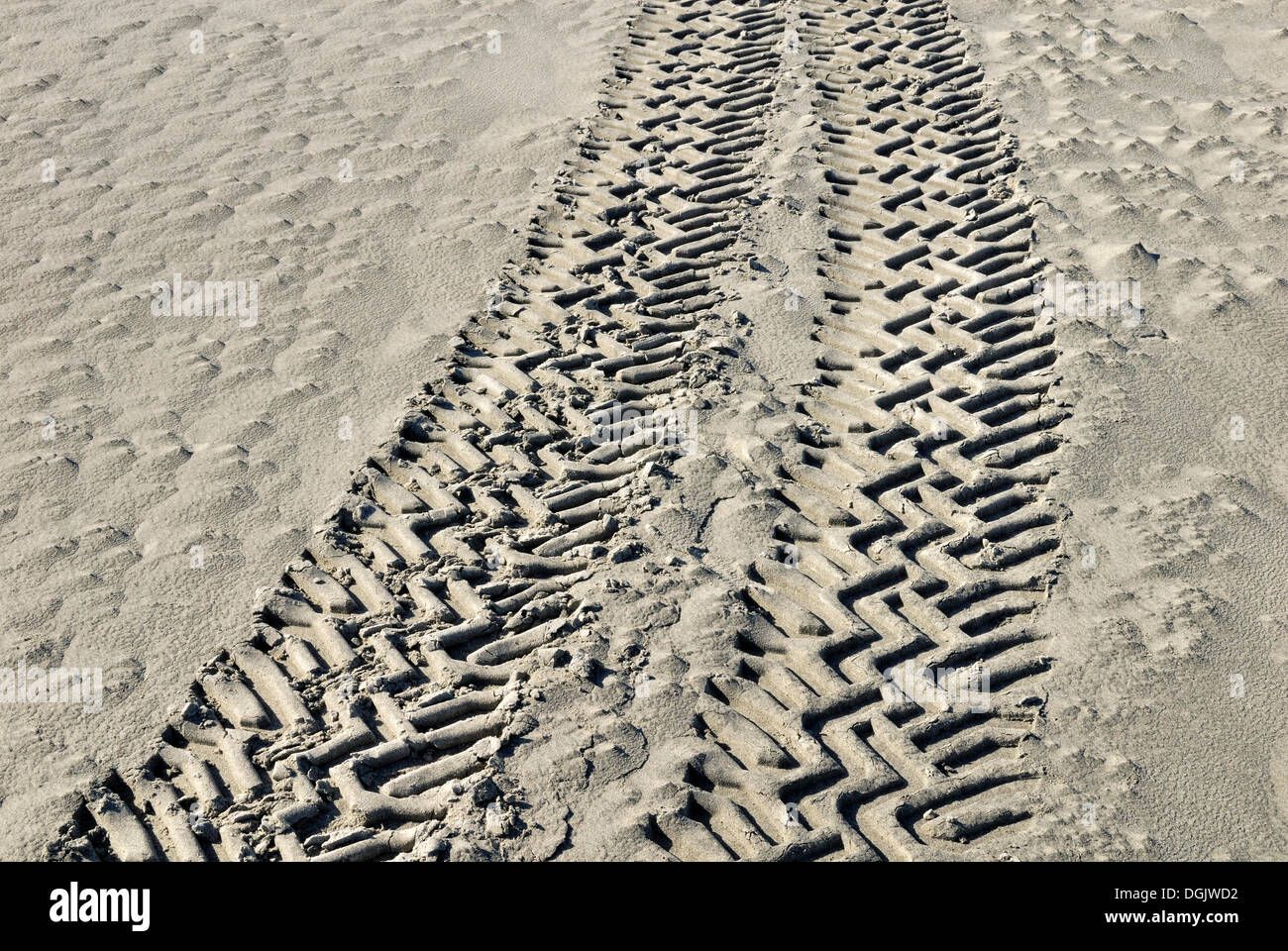 Truck tracks in the soft sands of Farewell Spit Nature Reserve, Golden Bay, South Island, New Zealand Stock Photo