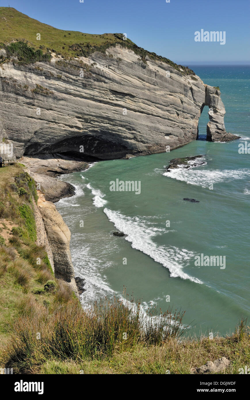 Cape Farewell, the northernmost point of South Island, New Zealand Stock Photo