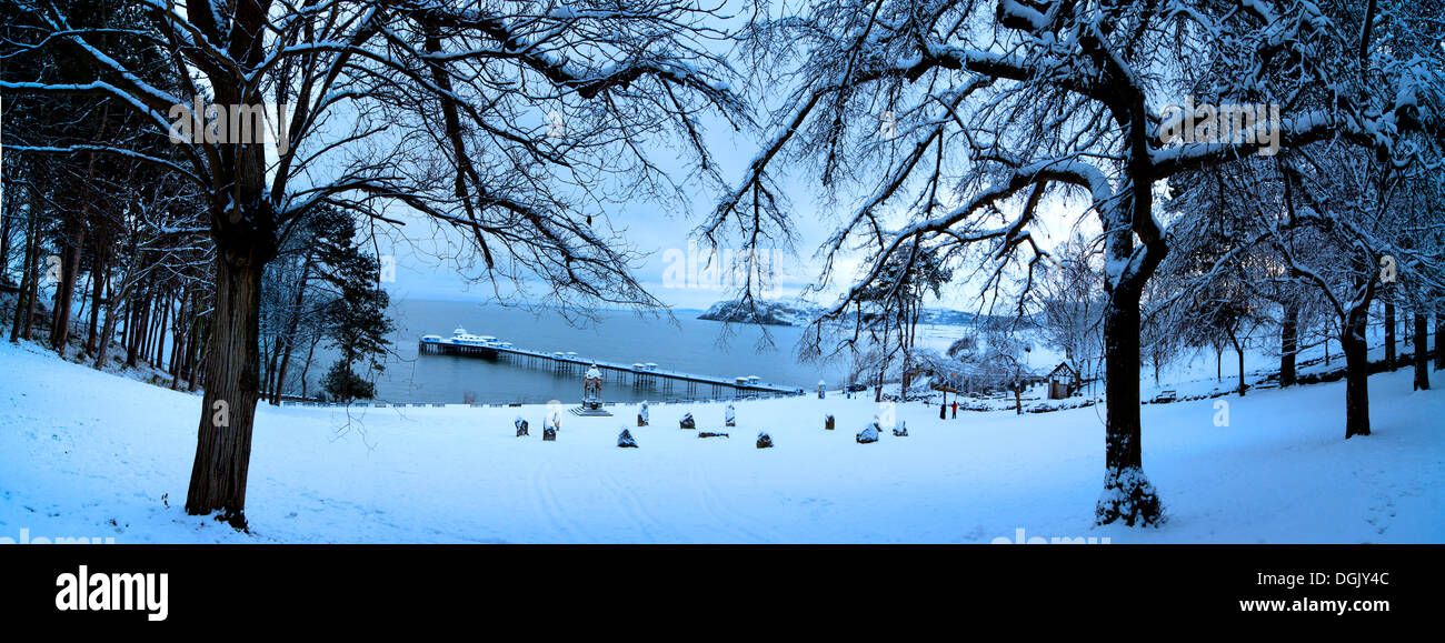 Snowfall view hi-res stock photography and images - Alamy