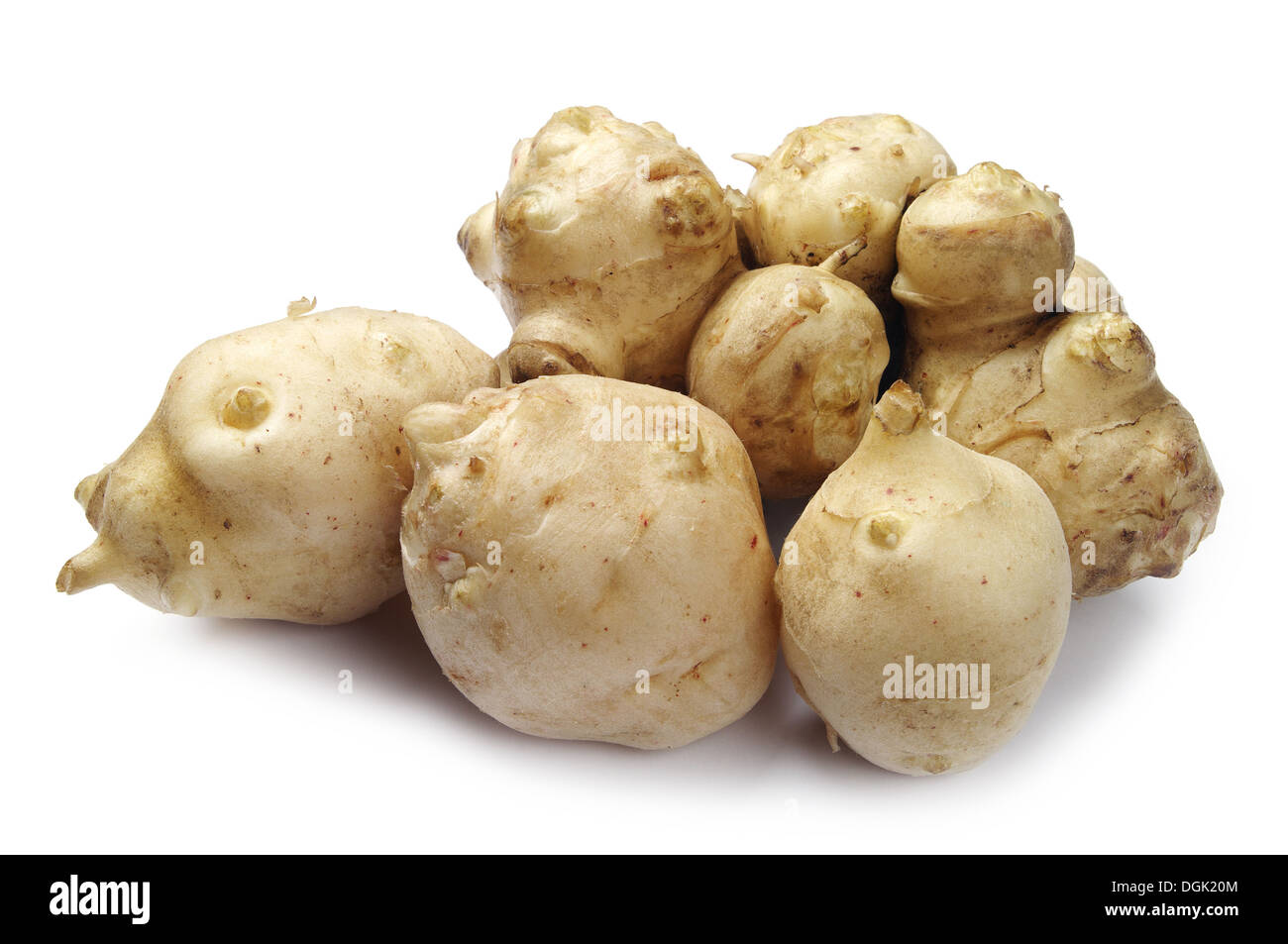 Captivating Where Can I Buy Jerusalem Artichoke View Illustration Captivating Where Can I Buy Jerusalem Artichoke View Illustration
