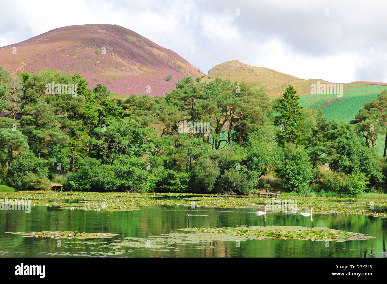 Bowdenmoor or Bowden Moor Reservoir & The Eildon Hills, Bowden, Borders
