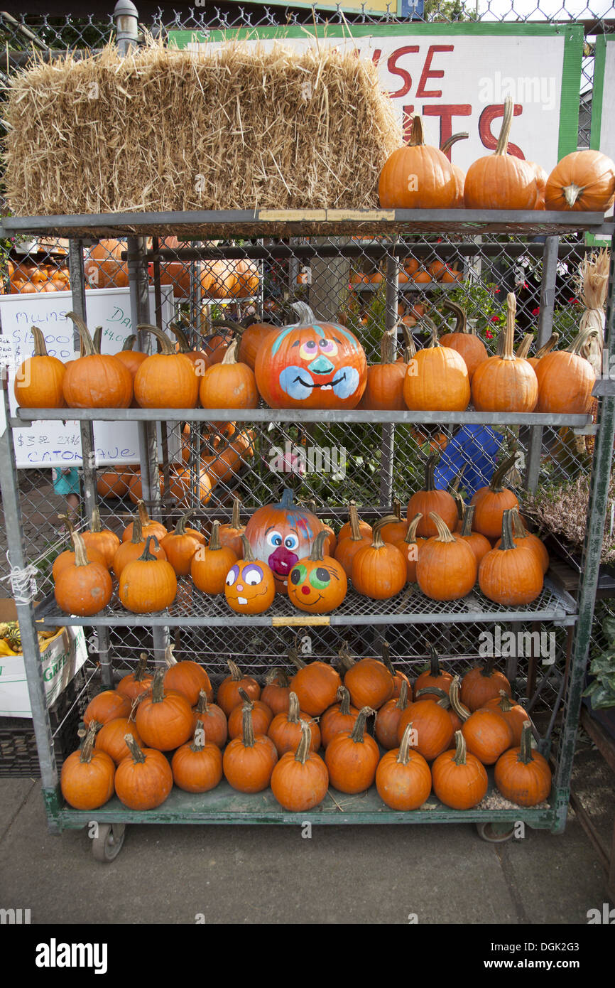 Garden center at Halloween time, Brooklyn, NY. Stock Photo