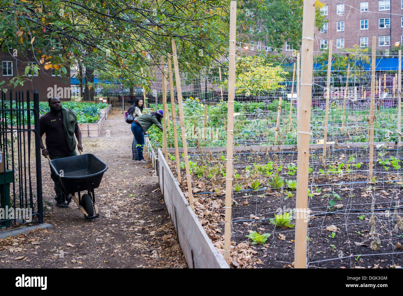 Red hook housing project hires stock photography and images Alamy