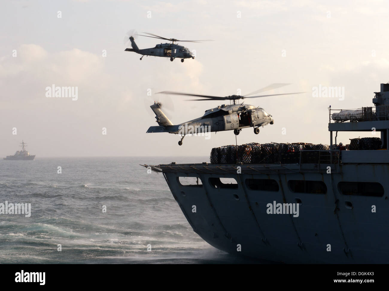 wo MH-60S Sea Hawk helicopters assigned to the Dusty Dogs of Helicopter ...
