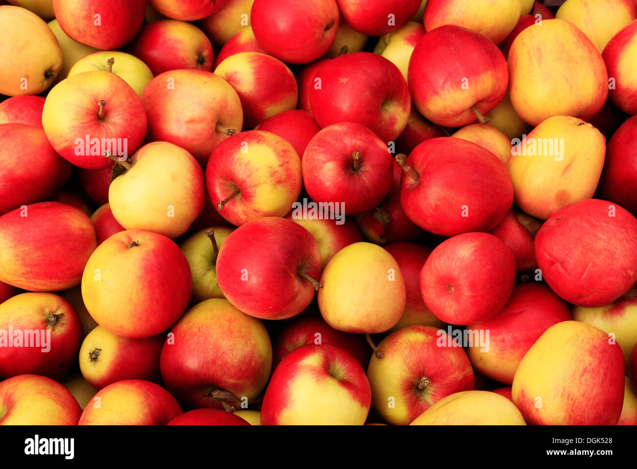Apple 'Katy', syn. 'Katya', malus domestica, apples variety varieties in farm shop display Stock Photo
