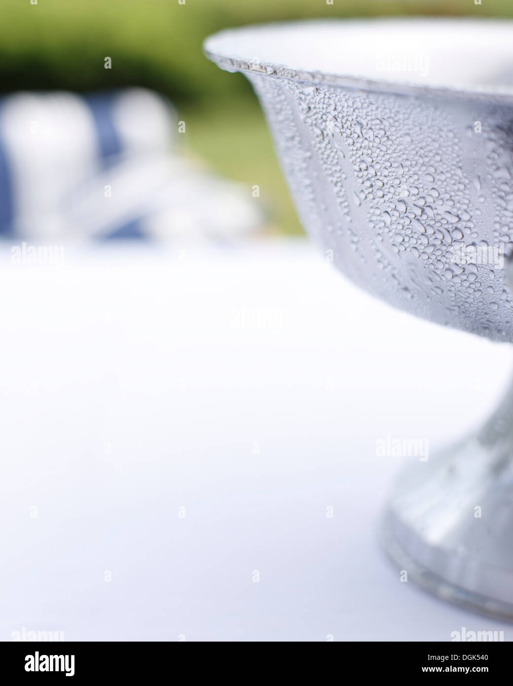 Close up champagne bucket on garden table Stock Photo