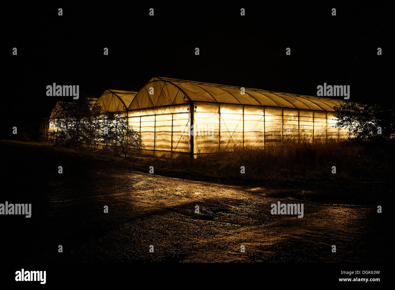 Illuminated greenhouses at night, Iceland Stock Photo