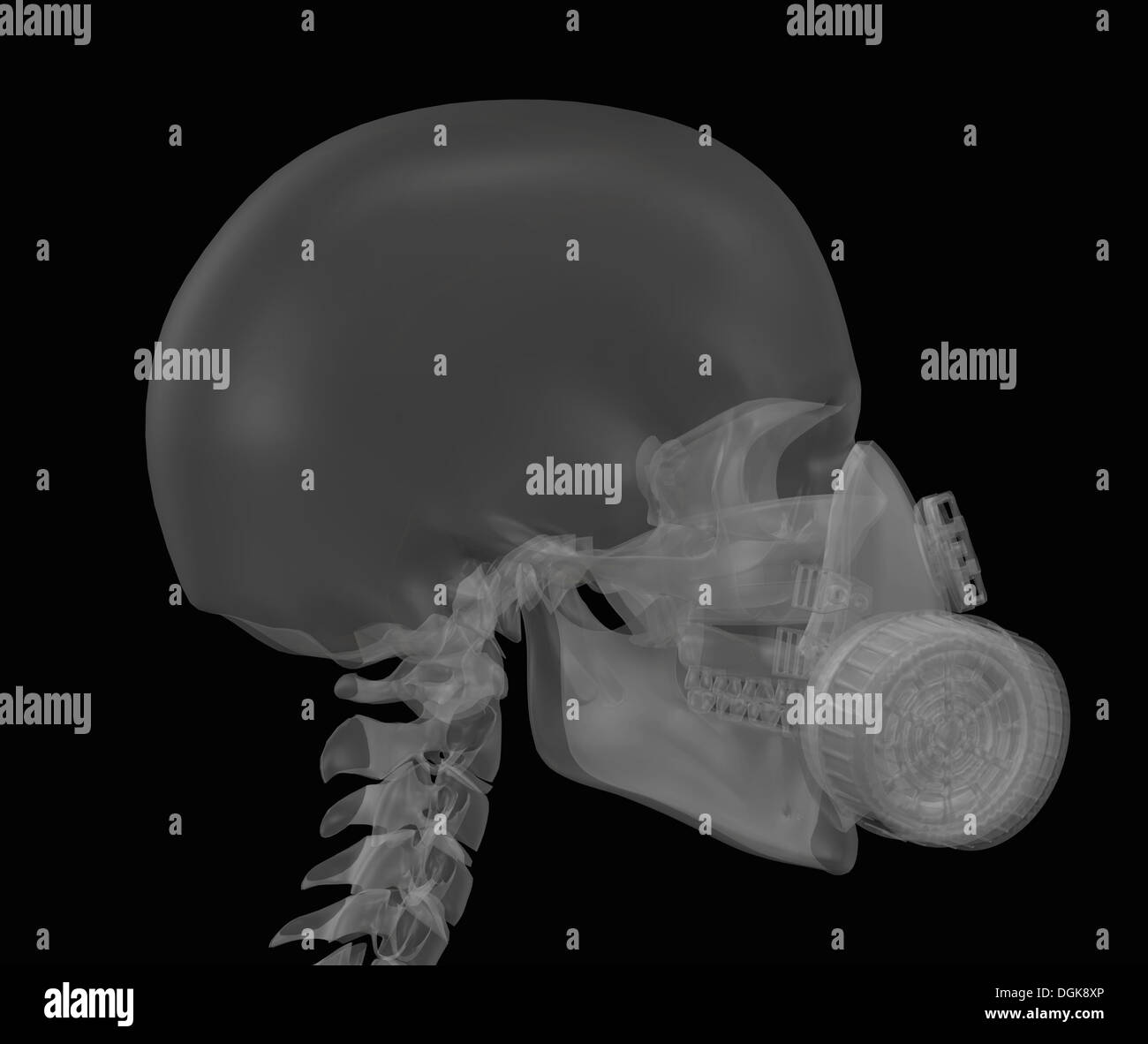 Illustration of a human skull wearing a dust mask Stock Photo Alamy