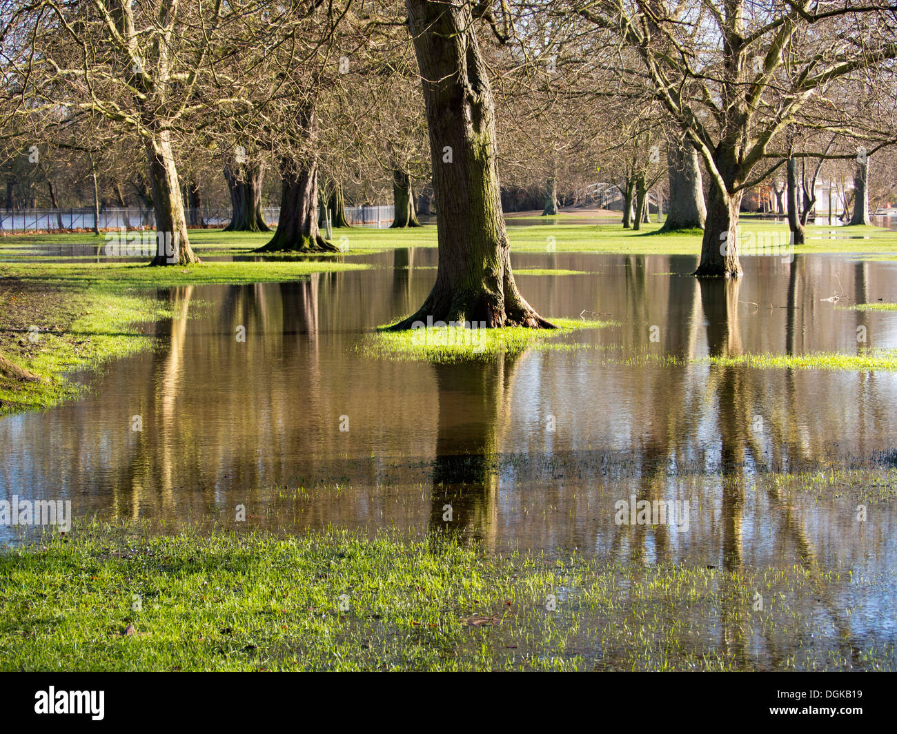 The flooded Thames spills over onto Christ Church College Meadows in Oxford. Stock Photo