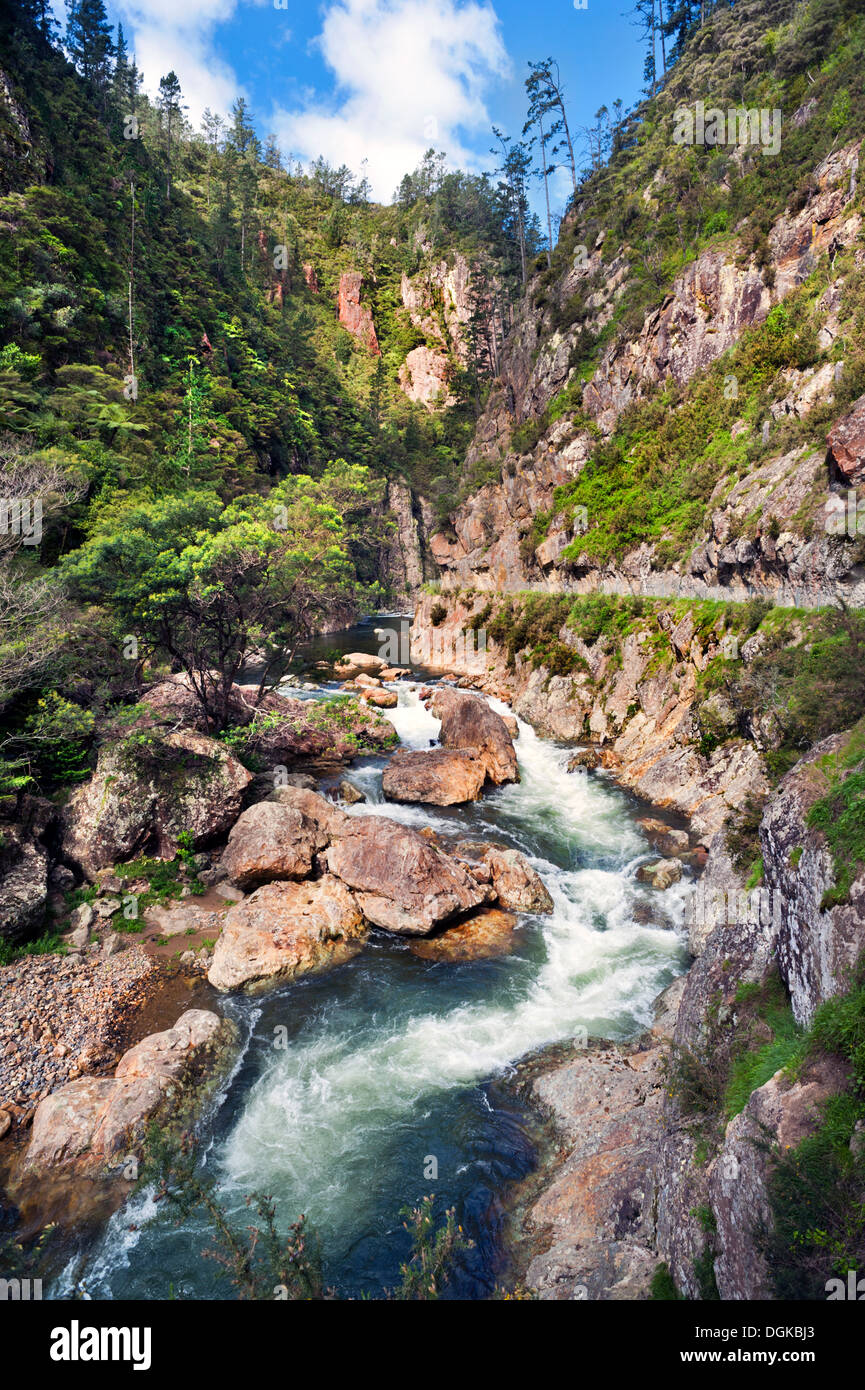The spectacular Karangahake Gorge, Near Waihi, North Island, New Zealand. The Windows Walk can be seen passing above the river to the right. Stock Photo