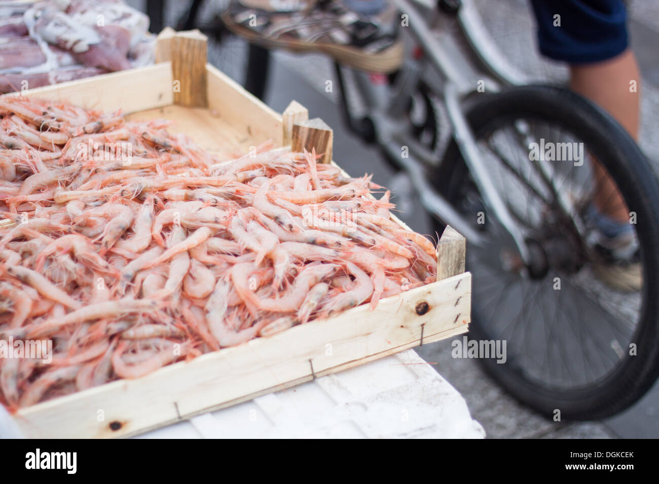 Shrimps ,fish, market, case, box, sell, mediterranean, bicycle Stock Photo