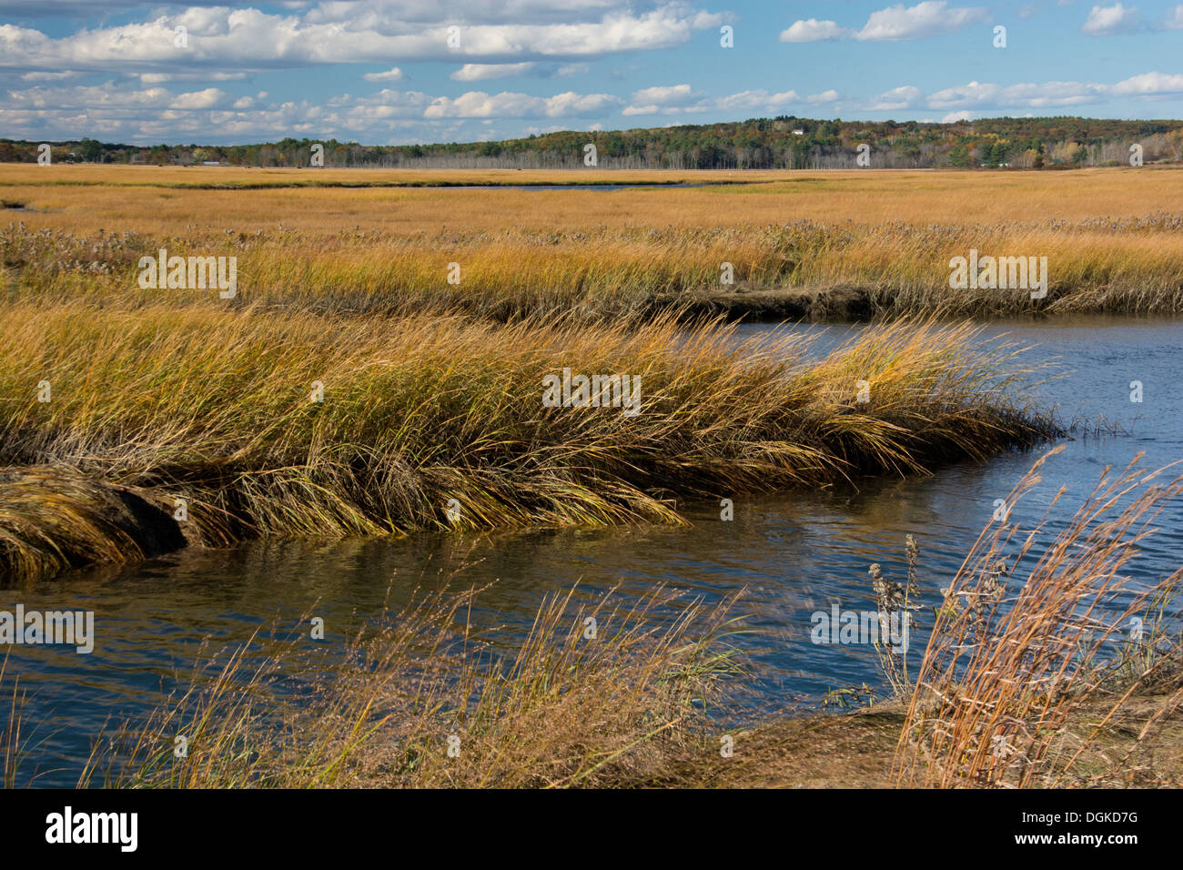 Scarborough Salt Marsh, Maine Stock Photo Alamy
