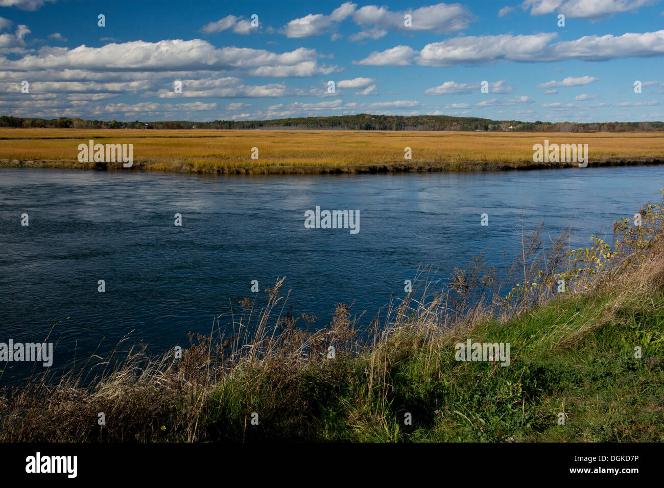 Scarborough Salt Marsh, Maine Stock Photo Alamy