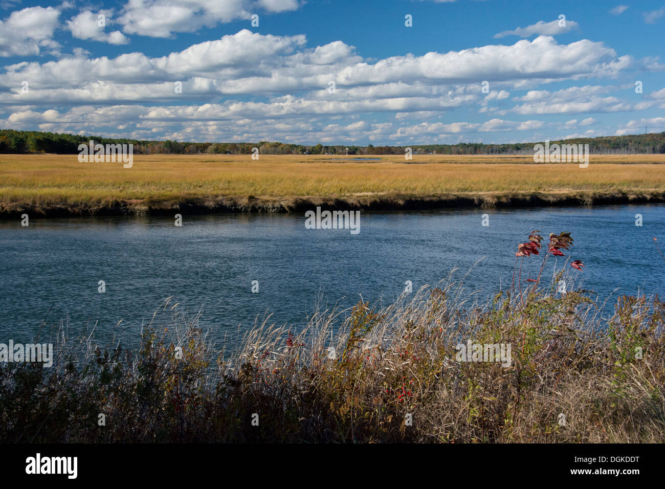 Scarborough Salt Marsh, Maine Stock Photo Alamy