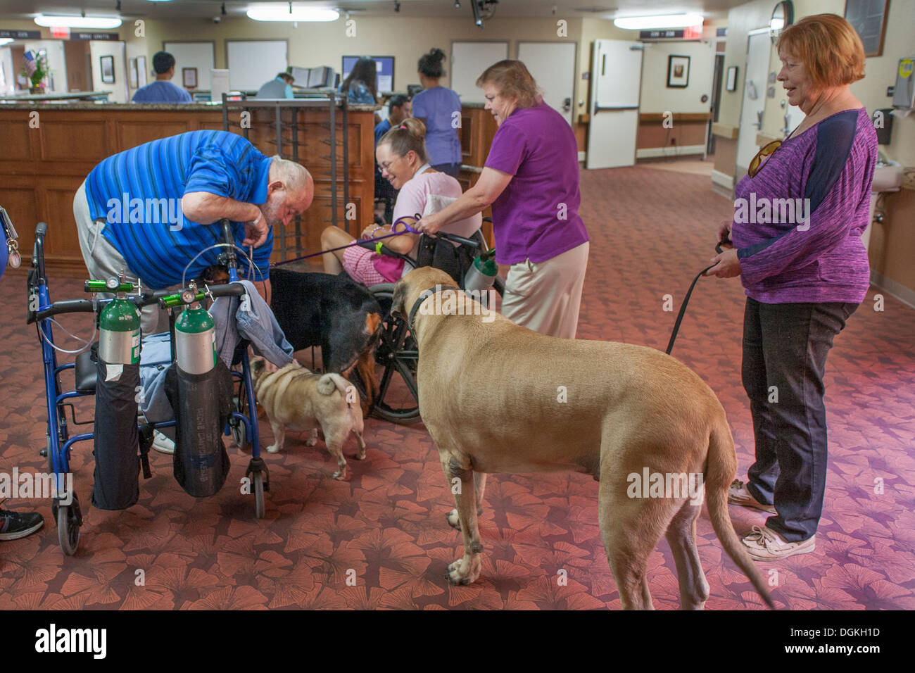 Rehabilitations Stock Photos Rehabilitations Stock Images Alamy