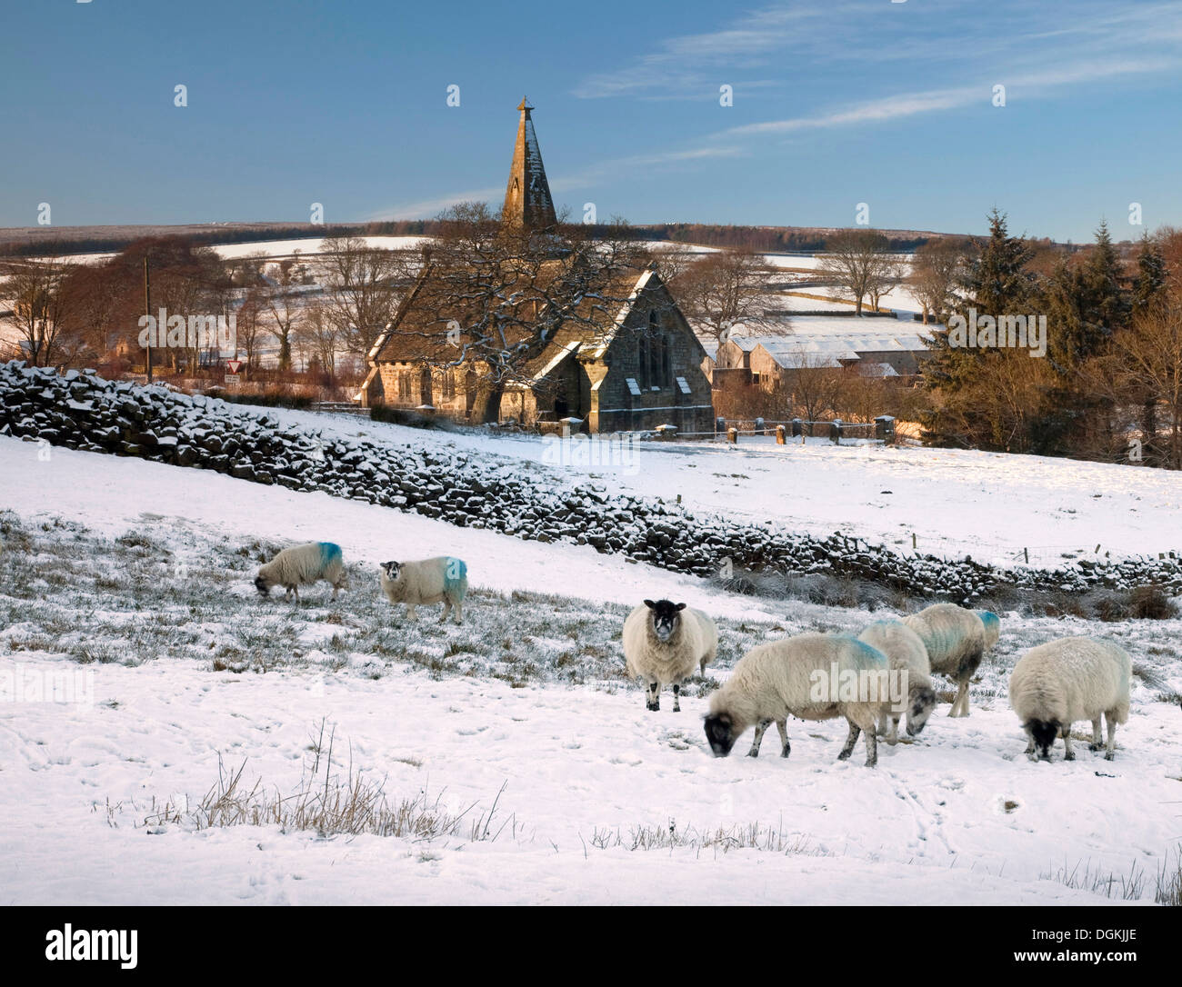 A view toward Blubberhouses and St Andrews church in the Washburn Valley. Stock Photo