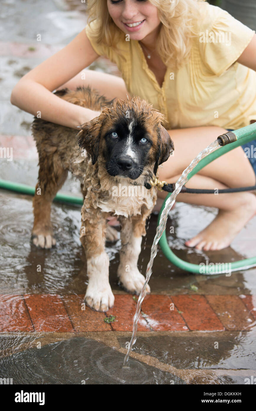 Portrait of young woman washing her dog Stock Photo