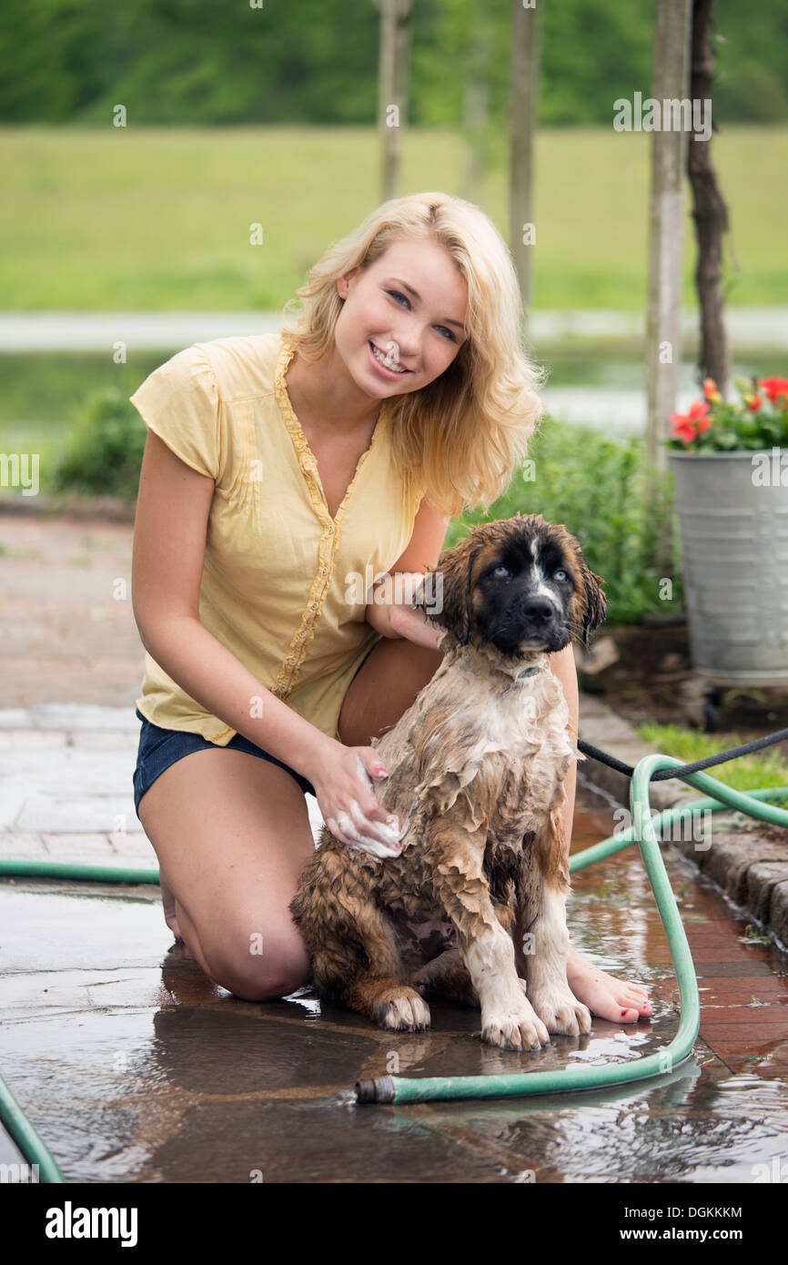 USA, New Jersey, Old Wick, Portrait of young woman washing her dog Stock Photo