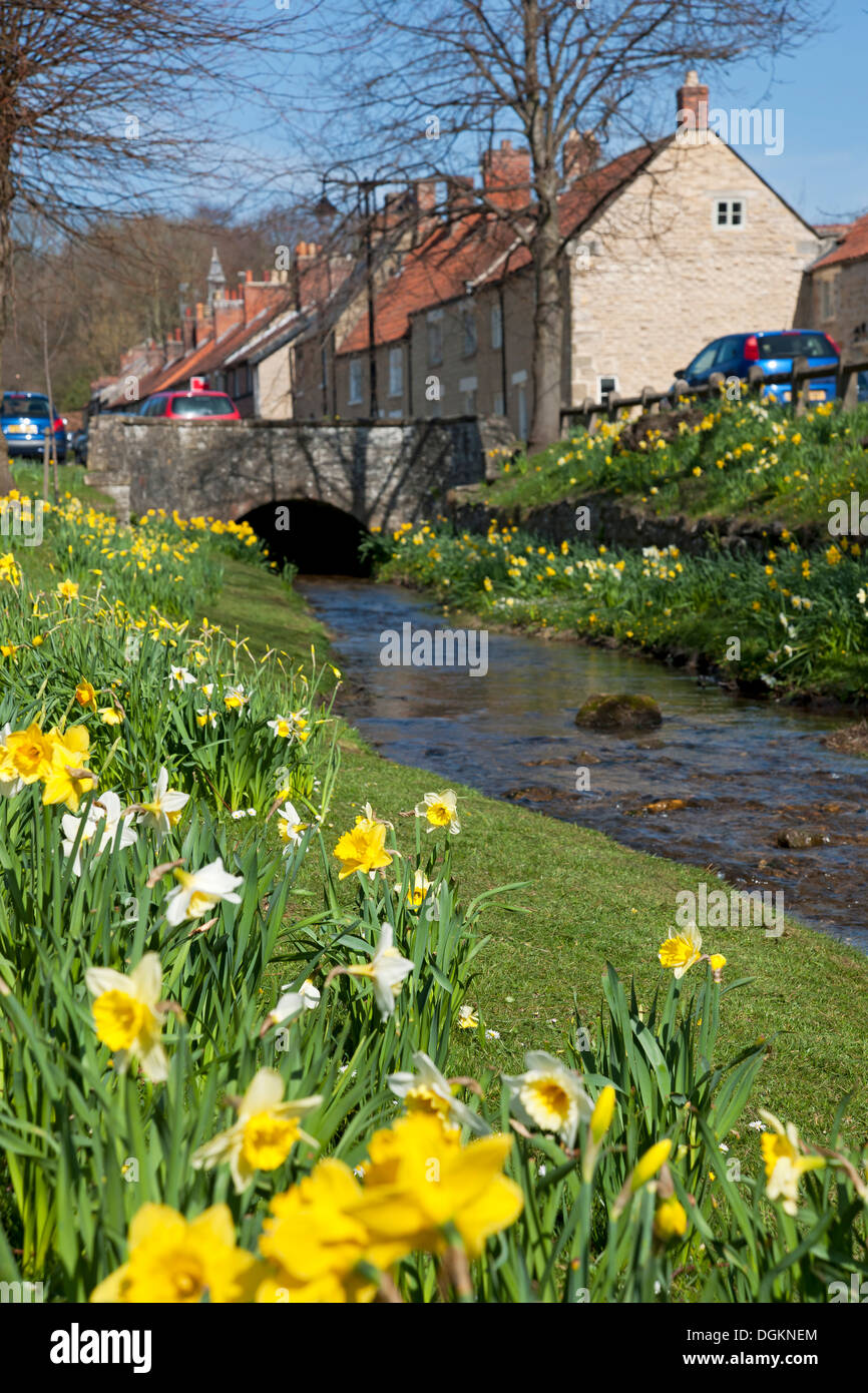 A view along a stream in Helmsley. Stock Photo