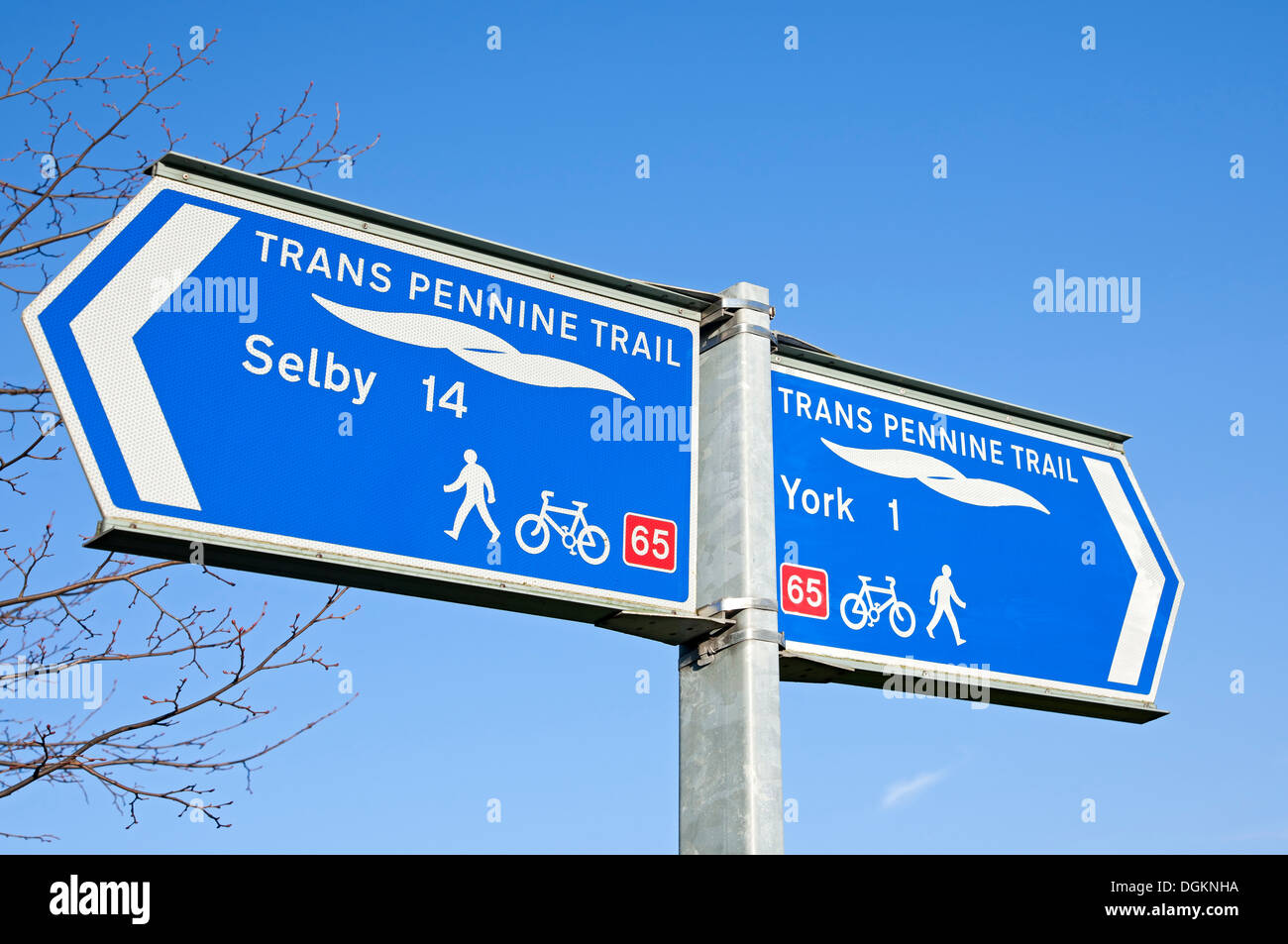 Trans Pennine Trail cycle route sign near York. Stock Photo