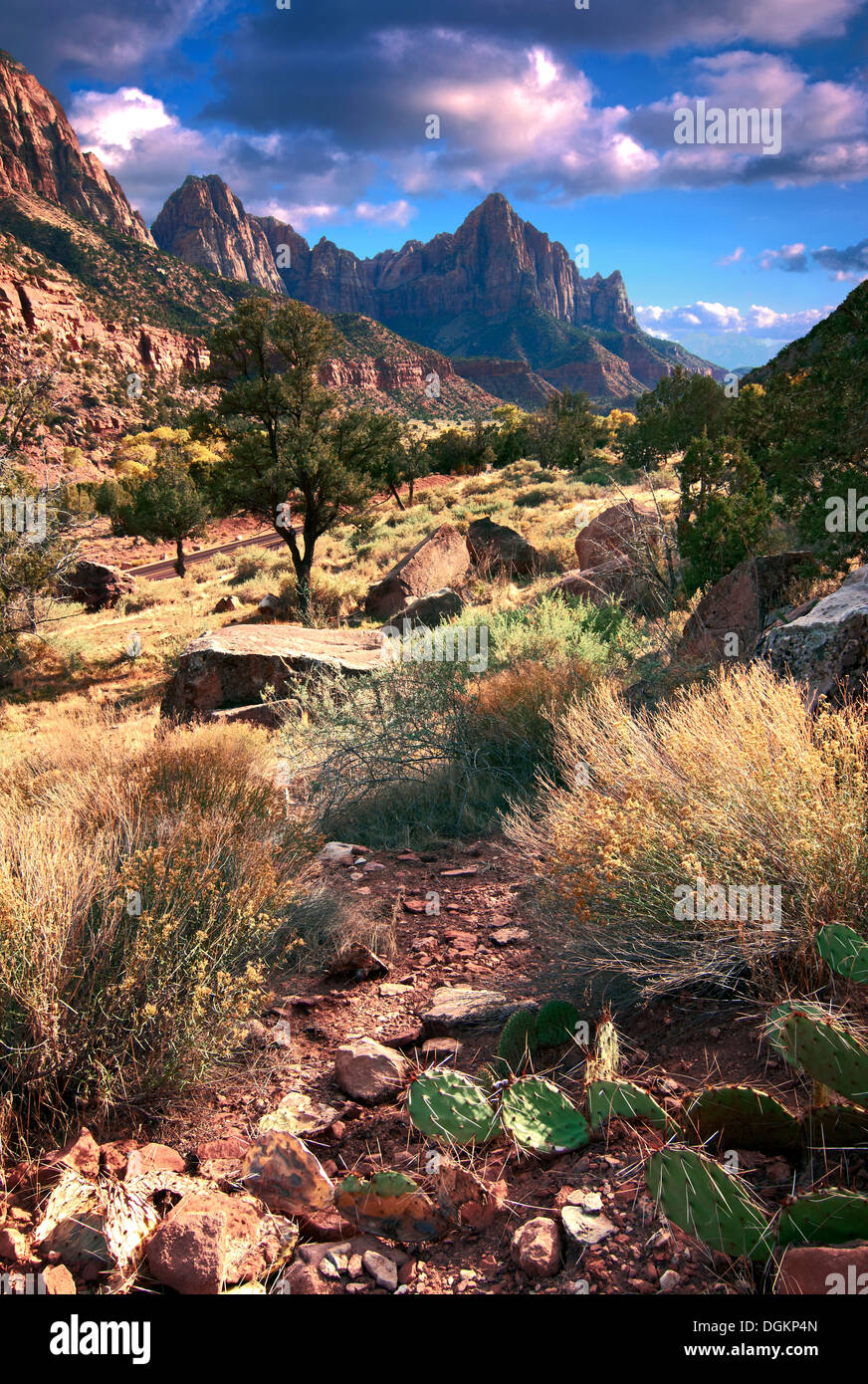 A view of the mountains of Zion National Park. Stock Photo