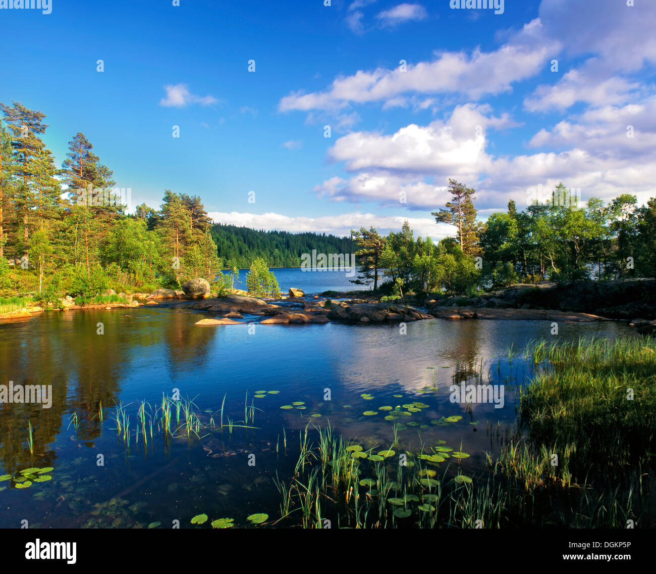 A view of a tranquil lake in southern Norway. Stock Photo