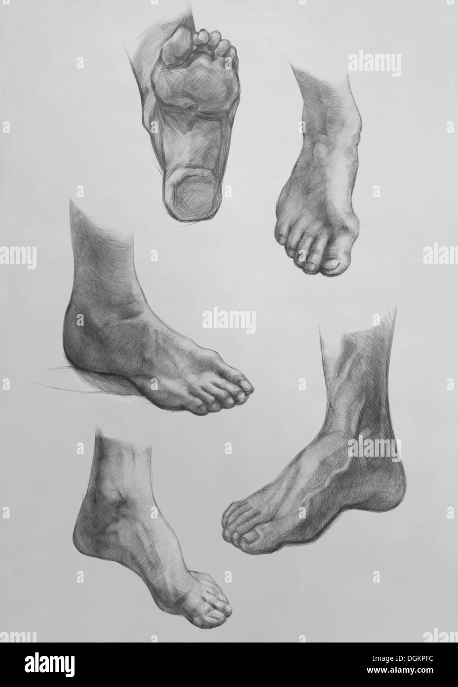 Show of Feet. It is a Pencil Drawing Stock Photo
