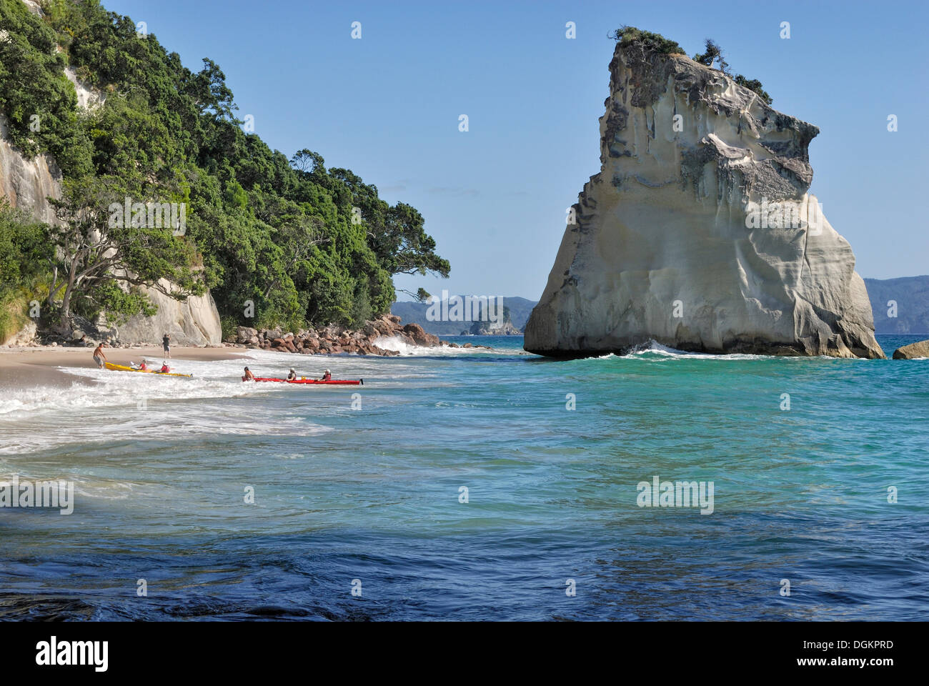 Rock in the shallow waters of the Marine Reserve Cathedral Cove, Hahei, Coromandel Peninsula, North Island, New Zealand Stock Photo