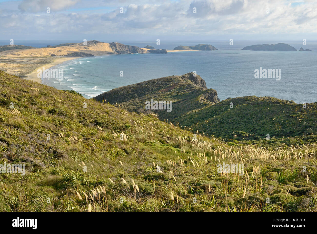 Te Werahi Beach with Cape Maria van Diemen near Cape Reinga, North ...