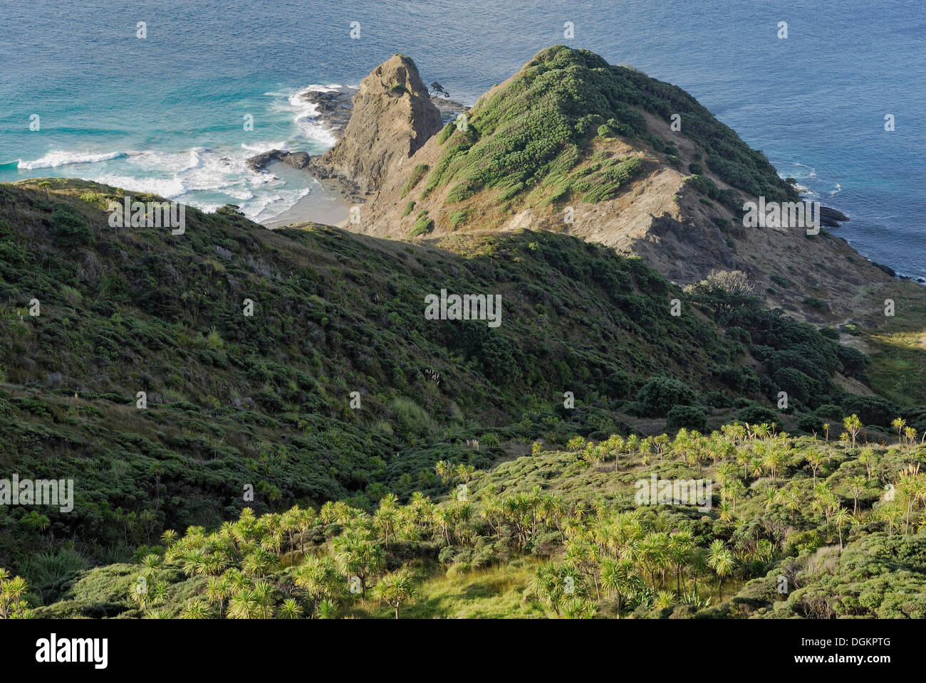 Rocky Point, Cape Reinga, North Island, New Zealand Stock Photo