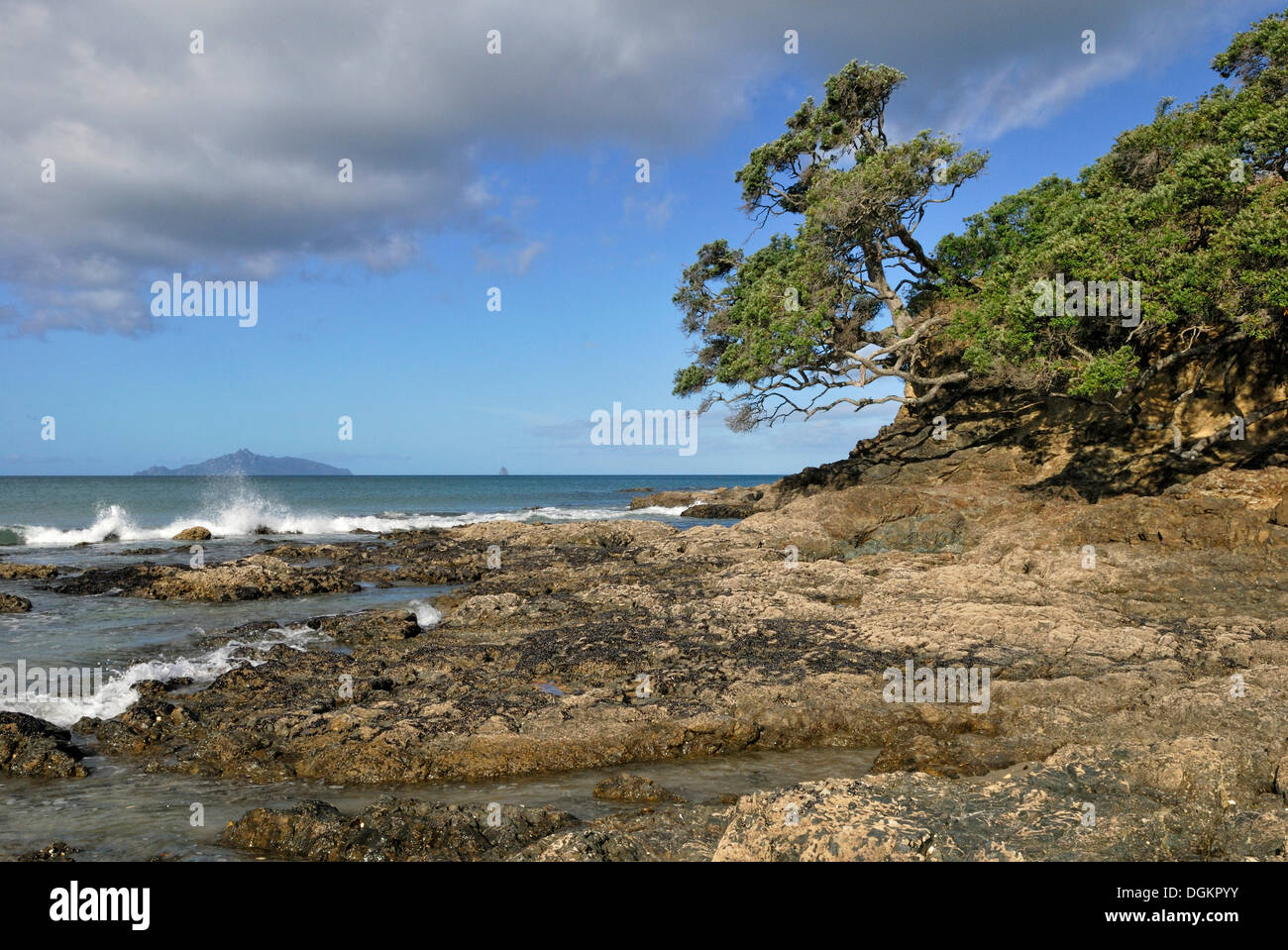 Langs Beach, Bream Bay, East Coast, North Island, New Zealand Stock Photo