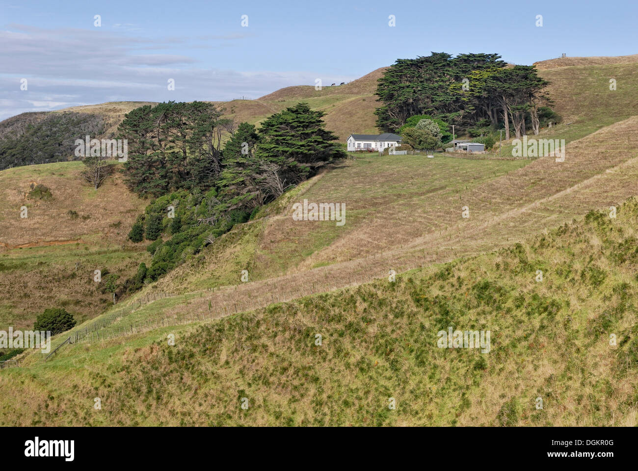 Pastures with farm house on the Lees Gully Road, Manukau Peninsula, North Island, New Zealand Stock Photo