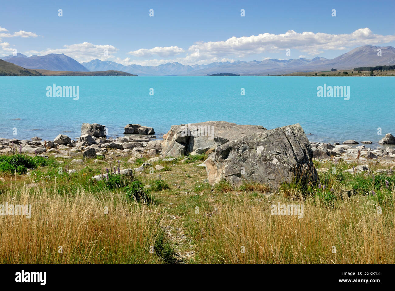 Lake Tekapo with Mount Cook massif, Fairlie, Highway 79, South Island, New Zealand Stock Photo