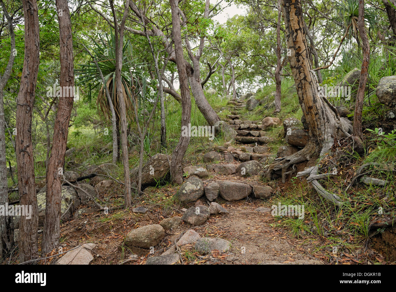 Hiking trail to Sphinx Lookout, Magnetic Island, Queensland, Australia Stock Photo