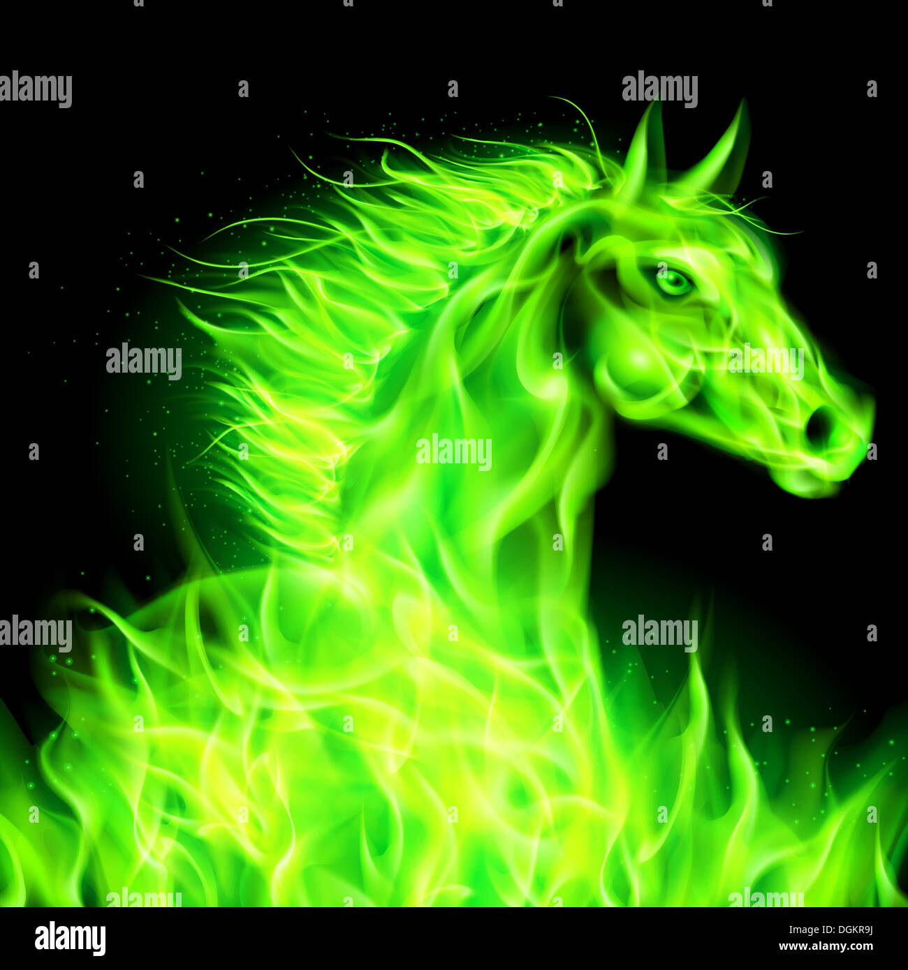 Head of green fire horse on black background. Stock Photo