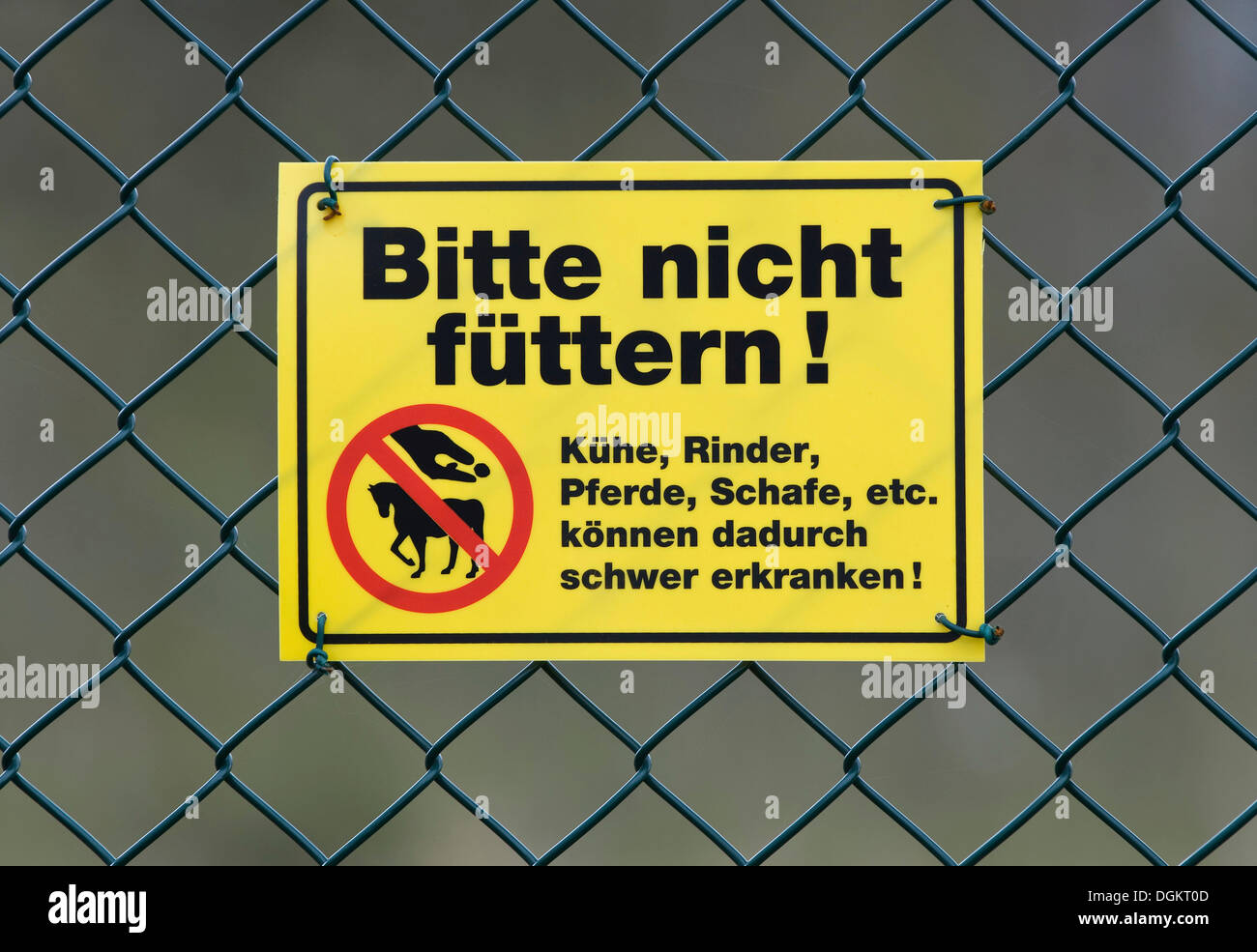 Warning sign, Bitte nicht fuettern, Kuehe, Rinder, Pferde, Schafe etc, koennen dadurch schwer erkranken, German for Do Not Feed Stock Photo