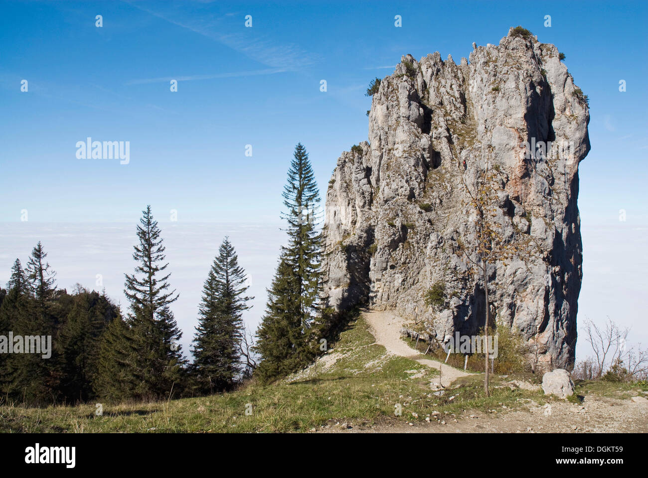 Limestone rock on the panoramic trail to Kampenwand Mountain, Upper Bavaria, Bavaria Stock Photo
