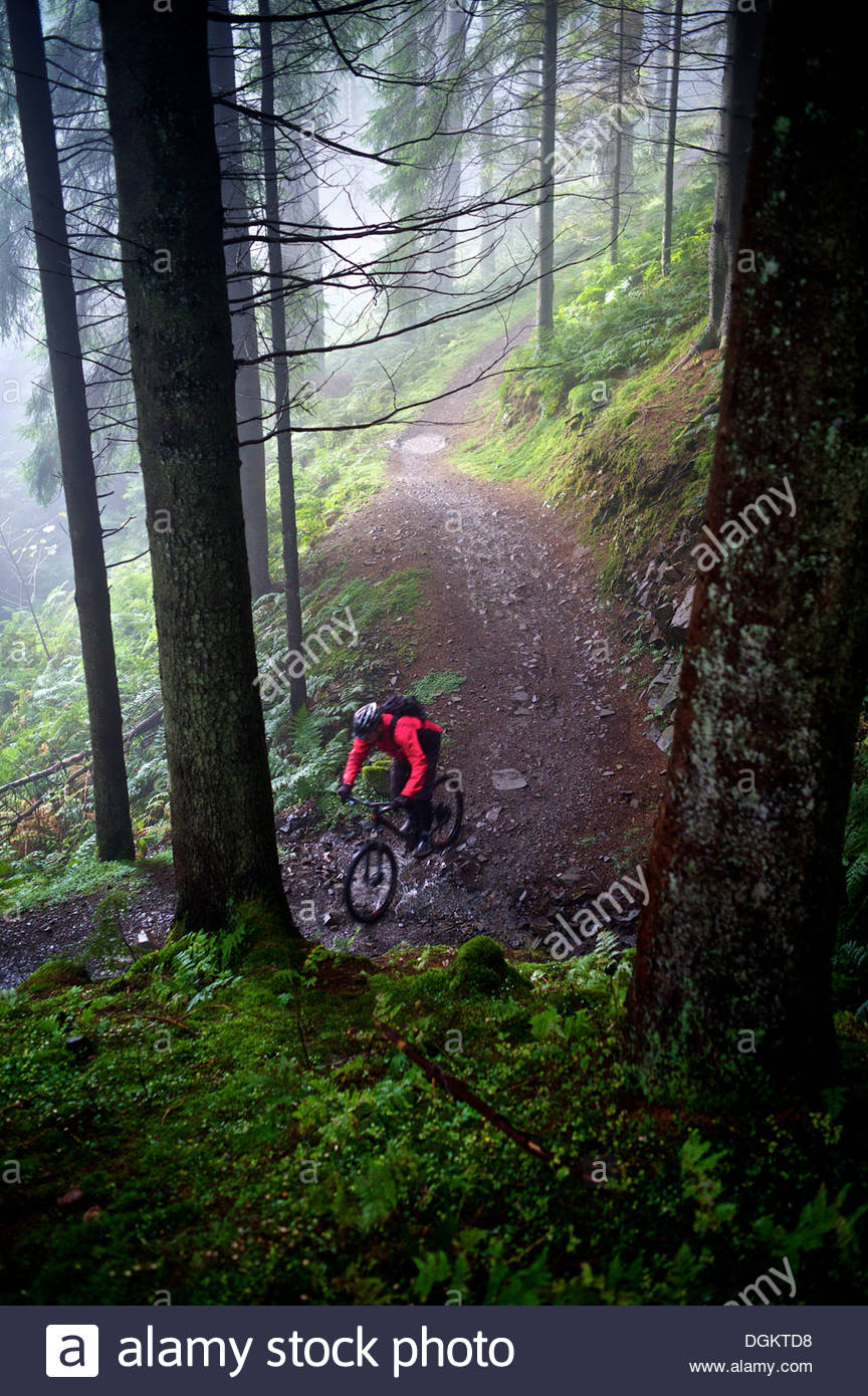 glentress red route