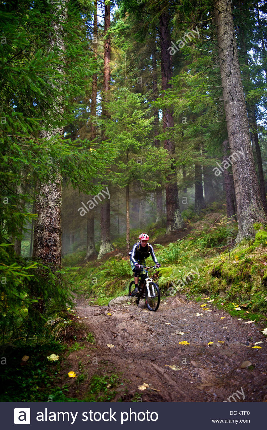 glentress routes