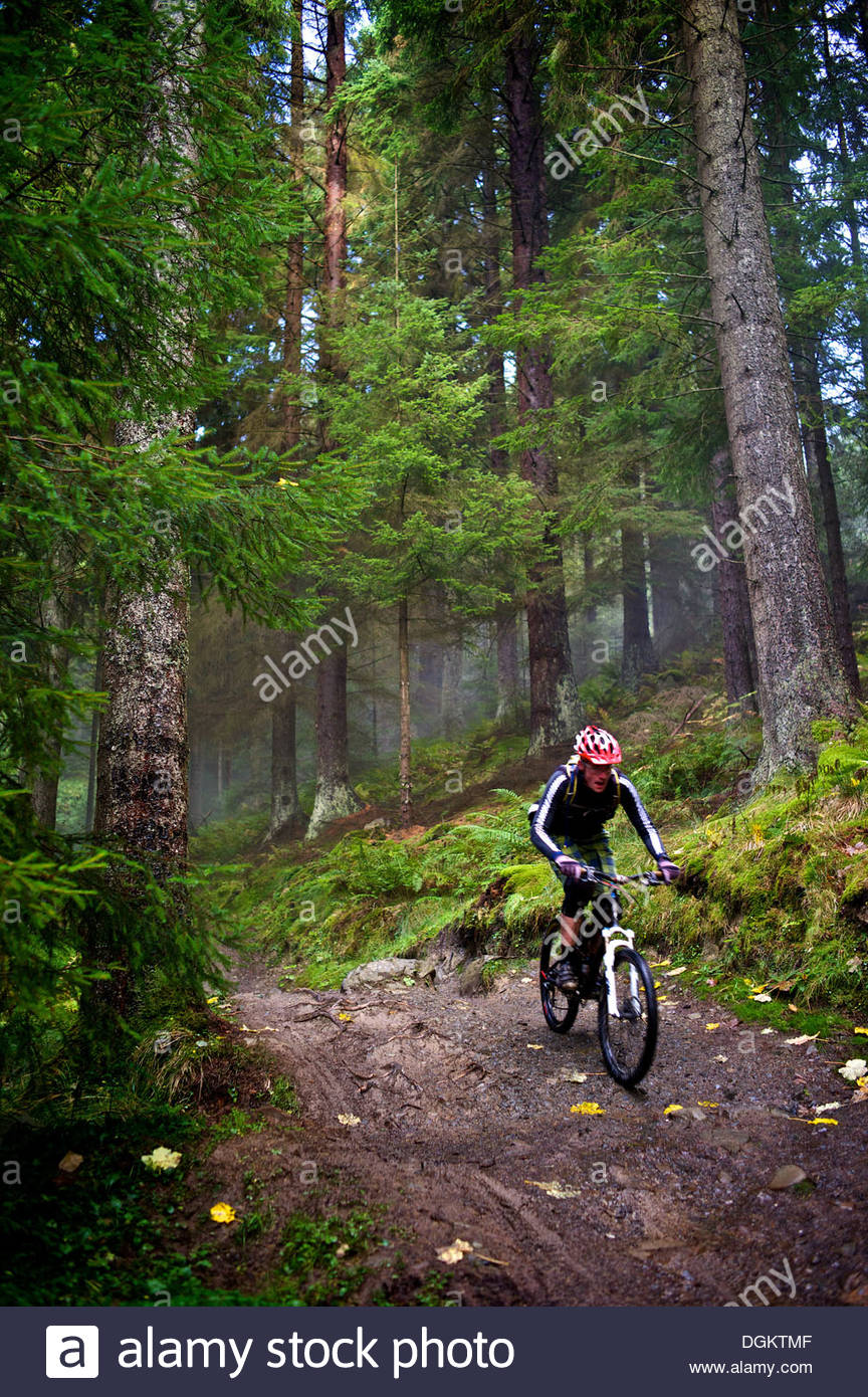 glentress red route