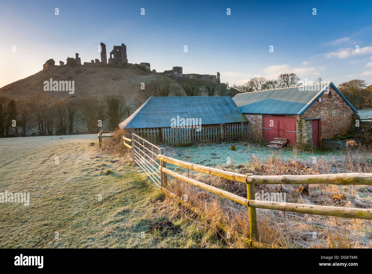 A view towards the ruins of Corfe Castle with a farm shed in the foreground. Stock Photo
