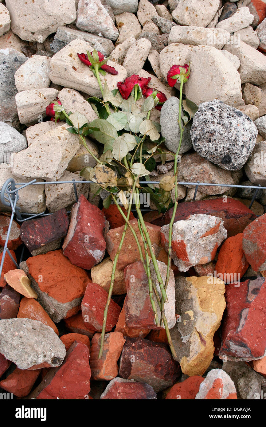 Roses lying on the foundation of the camp commemorating prisoners of KZ ...