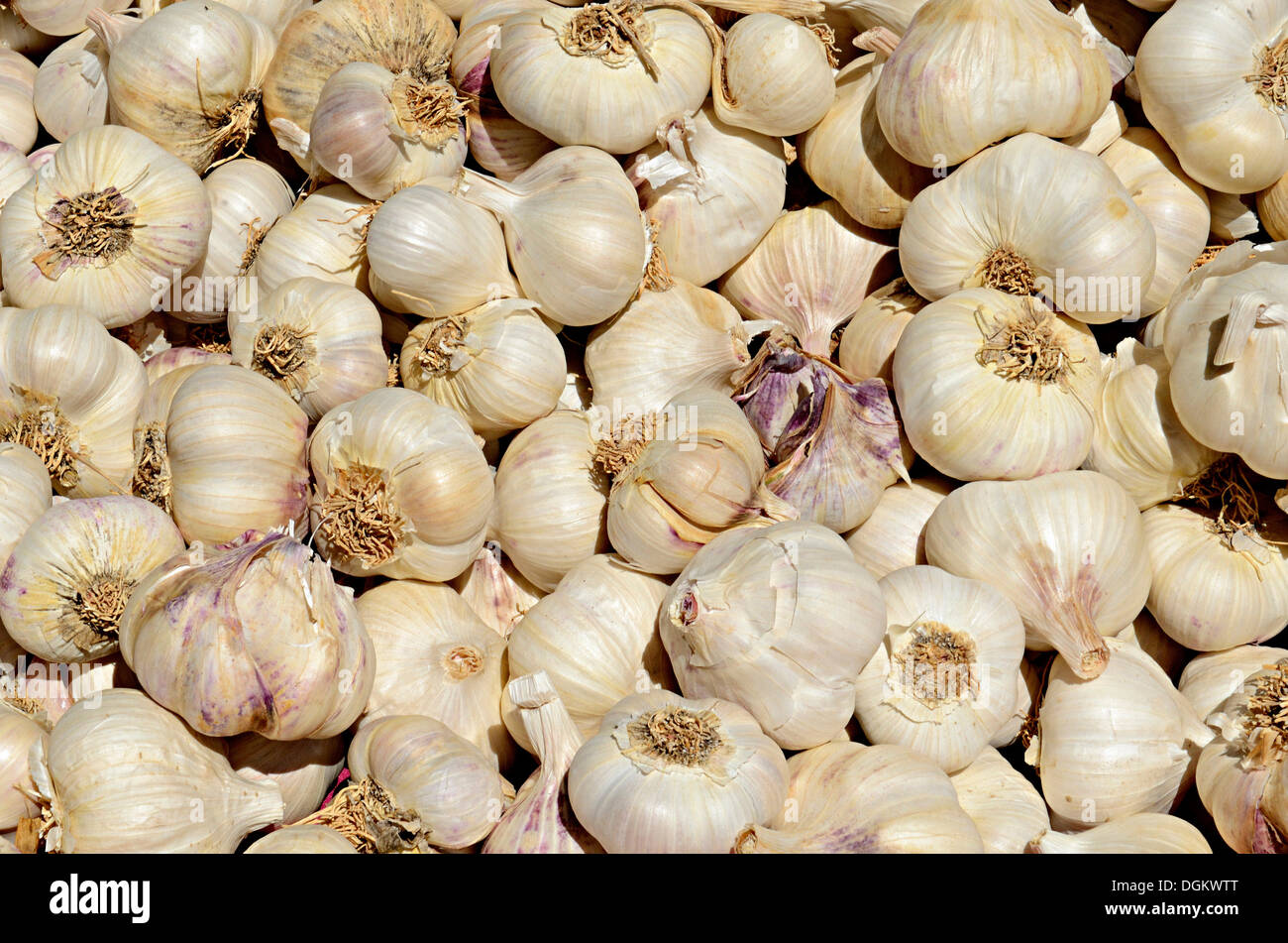 Garlic bulbs, Avila, Avila, Kastilien Leon, Spain Stock Photo