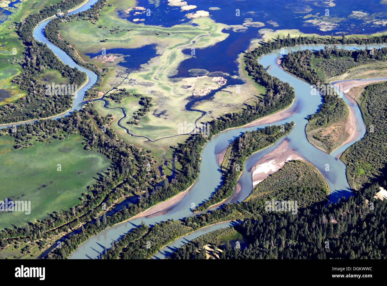 Aerial view, course of the Columbia River, British Columbia, Invermere, British Columbia Province, Canada Stock Photo
