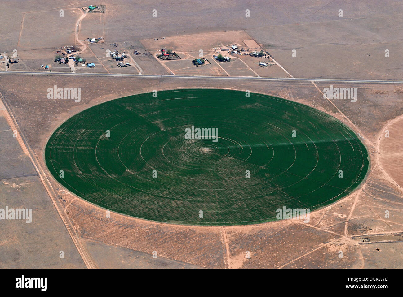 Circular field with fodder crops watered by irrigation systems in the desert of New Mexico, Moriarty, Moriarty, New Mexico Stock Photo