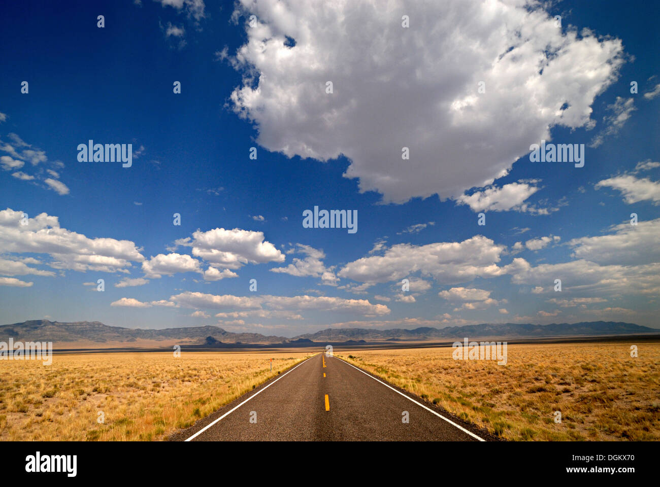 Straight country road with a vast landscape, Ely, Nevada, United States